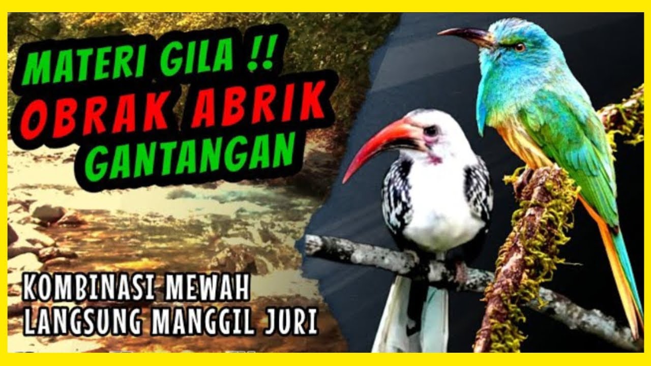 Auto Gacor & Mental Baja! Masteran Wajib Buat Calon Juara