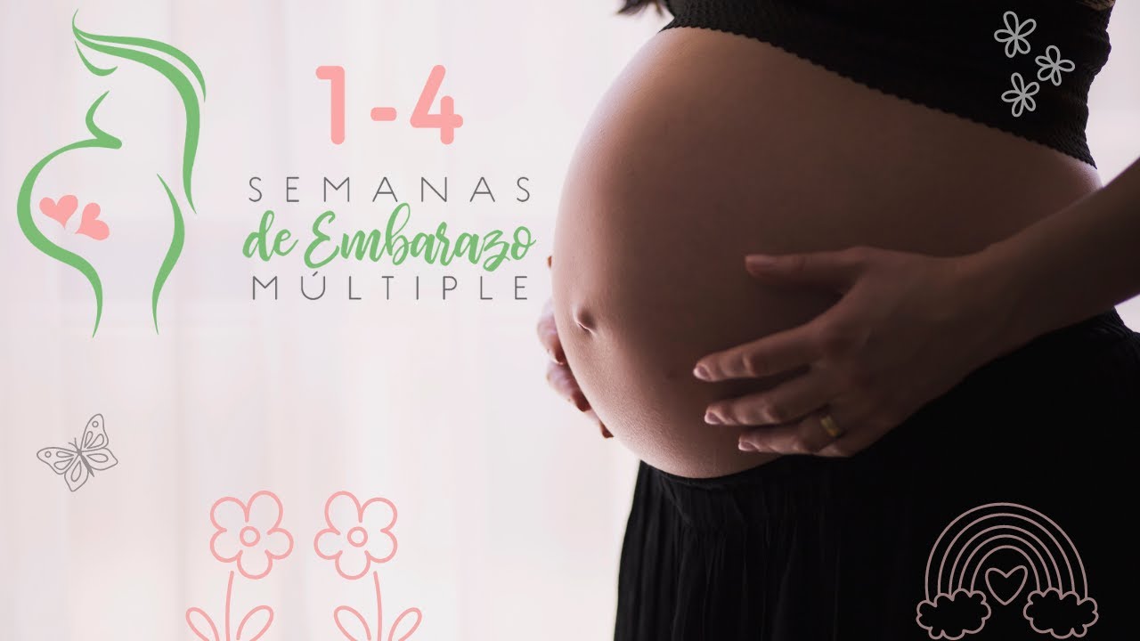 Semanas 1 a 4 de embarazo gemelar