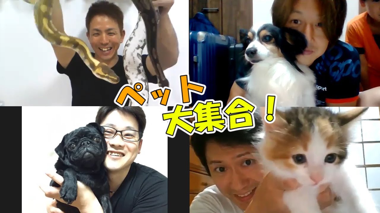 【ペット大集合】みんないつもと違う顔！