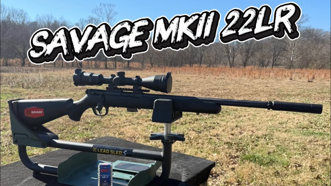 22 LR SUBSONIC TEST AT 100 YARDS!!! (can you hunt with it?) #hunting 
