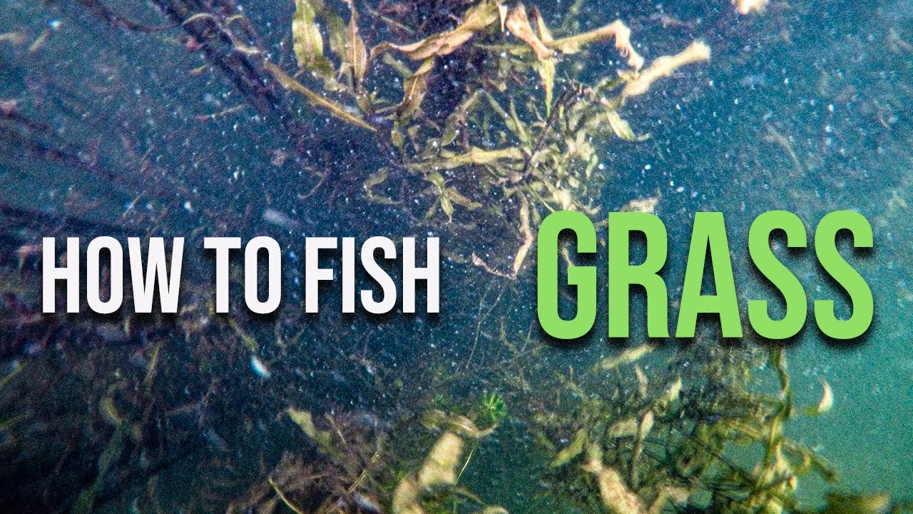 The BEST WAYS to BASS FISH in GRASS