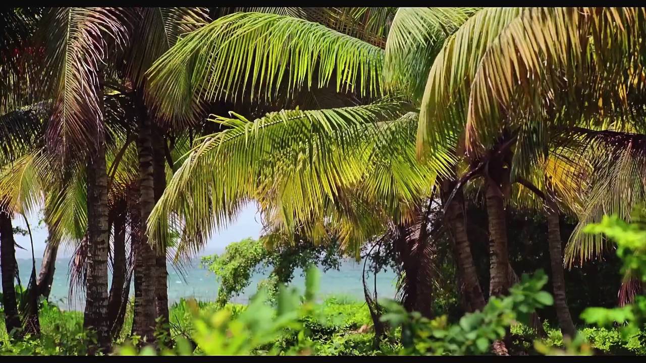 Arroyo Barril Samana Land for Developpers