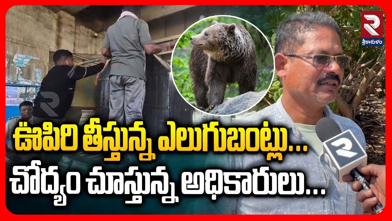 ఊపిరి తీస్తున్న ఎలుగుబంట్లు..చోద్యం చూస్తున్న అధికారులు..! Srikakulam Latest News | RTV