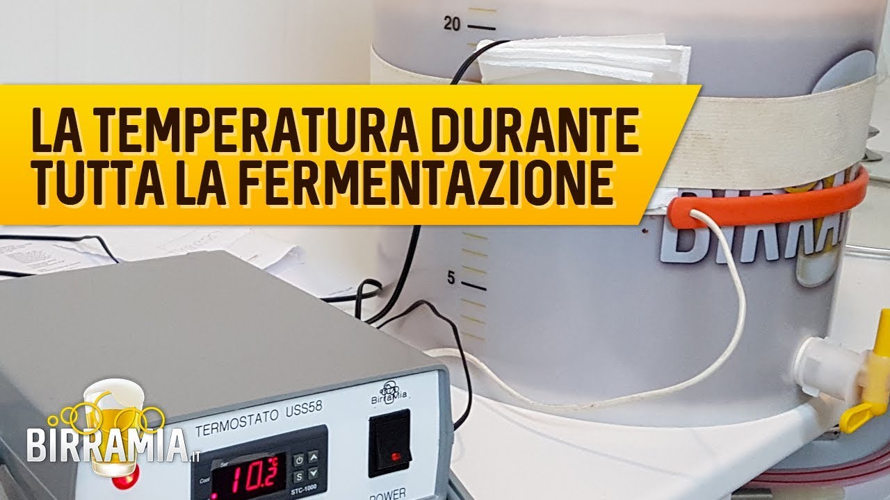 La temperatura durante tutta la fermentazione 🍺