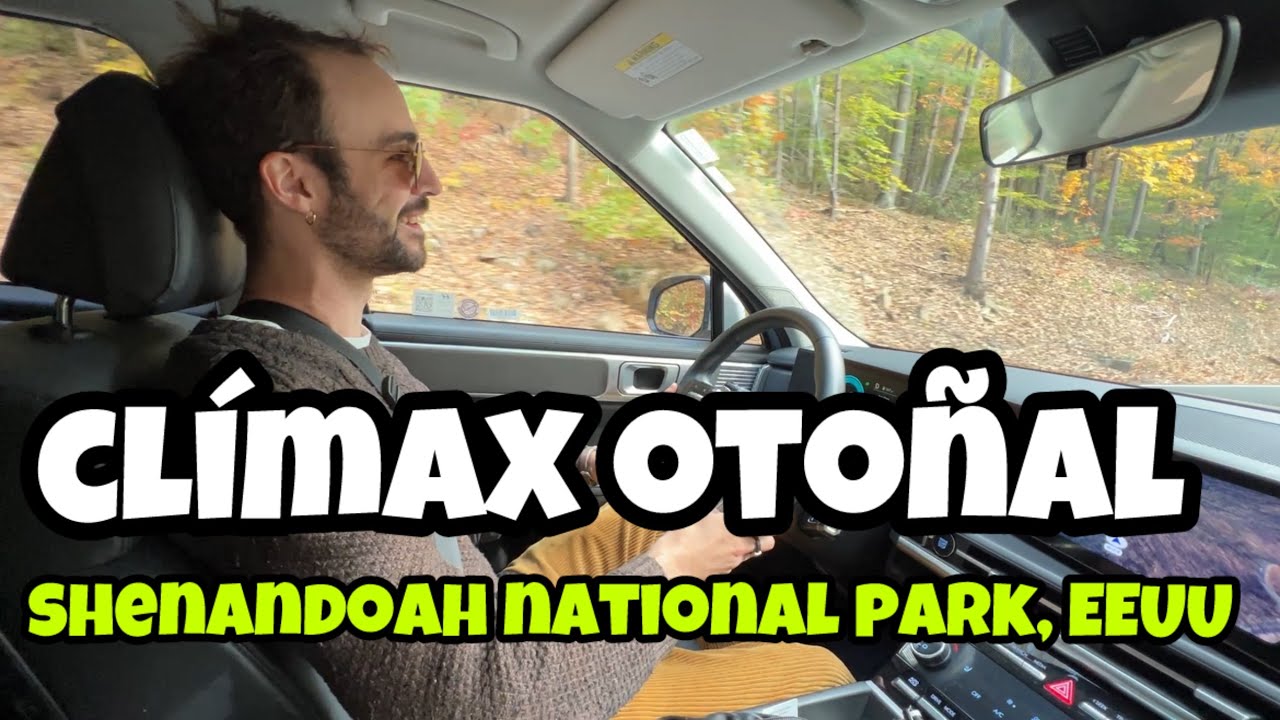 Viajo a un bosque en EEUU en su apogeo otoñal | Shenandoah National Park (Virginia, EEUU)