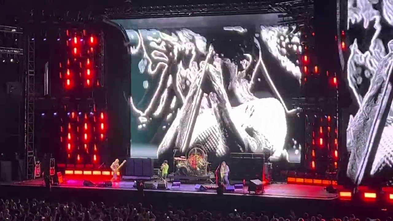 Red hot chili peppers Live in Osaka “Eddie”