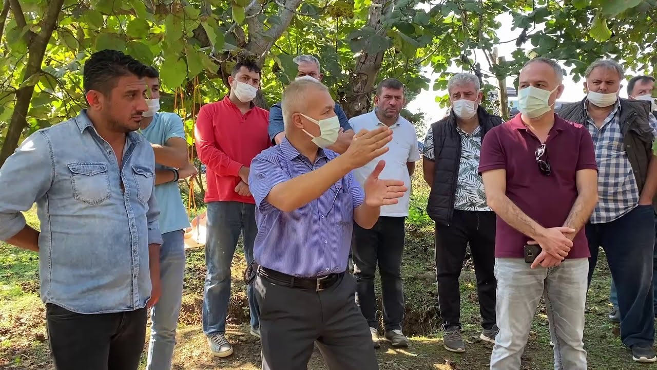(1. Kısım) Paralı Köyü Fındık Ağacı Yetiştirme ve Budama eğitimi