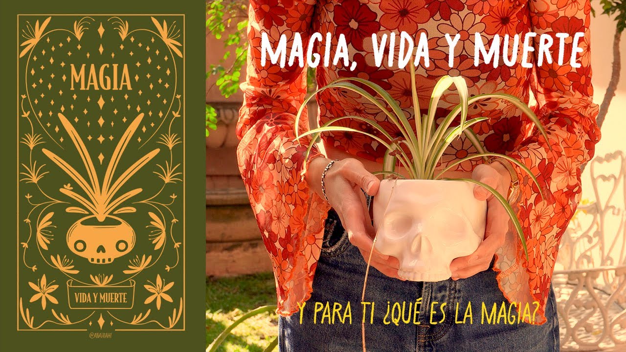 ¿Qué saben tus plantas que tú no? | Tributo ilustrado