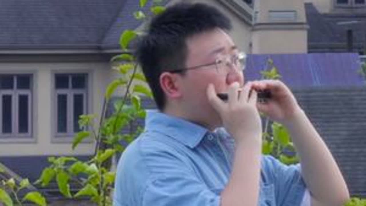 【口琴附谱】卡农 经典的旋律深入人心 姜博文口琴 