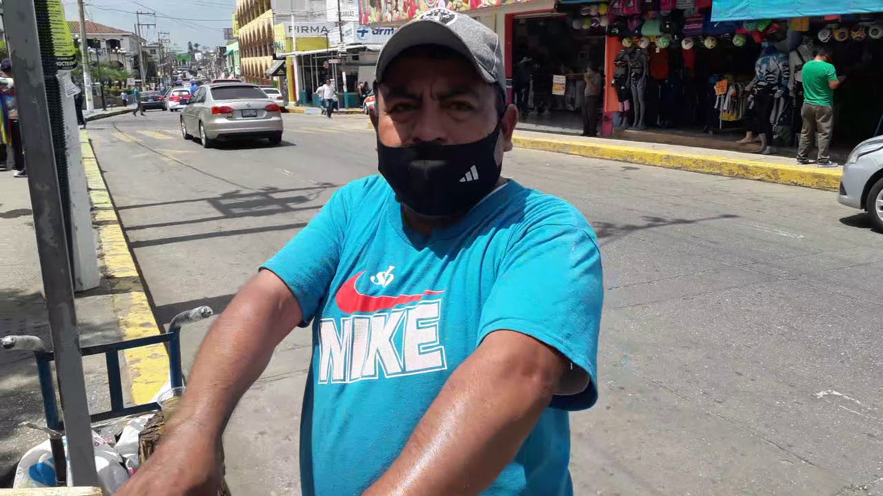 EL PALO DE VÍBORA ES MEDICINAL