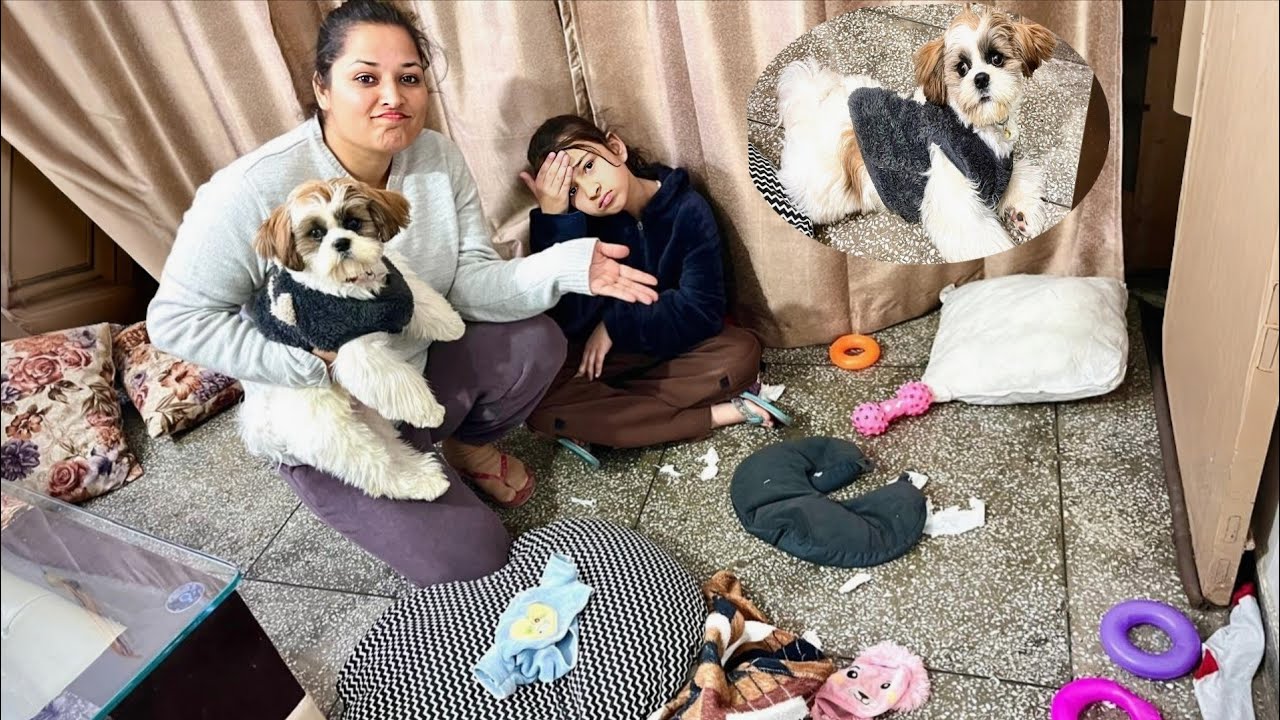 Buddy🐶 Ne Room Ka Kya Haal Kar Diya|Sirat Sanger vlogs|