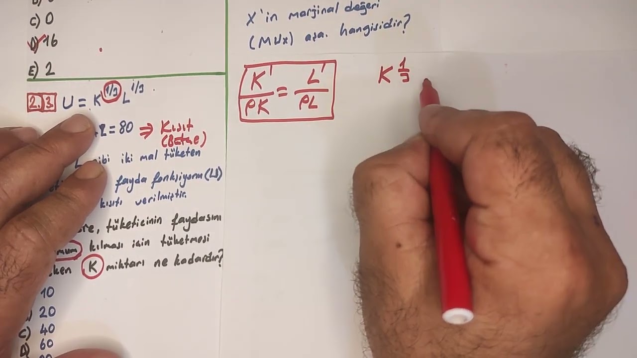 AÖF MATEMATİKSEL İKTİSAT ( FAYDA FONKSİYONU):