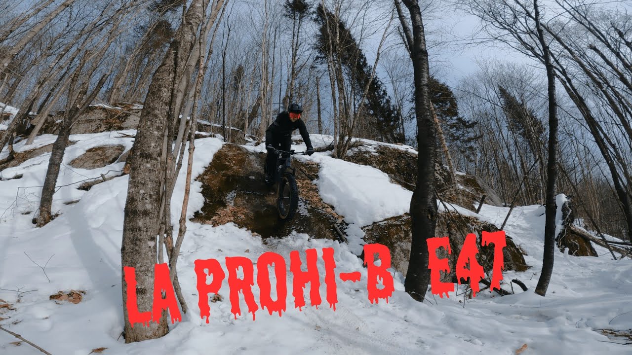 La ProHi-b E47 Fat bike