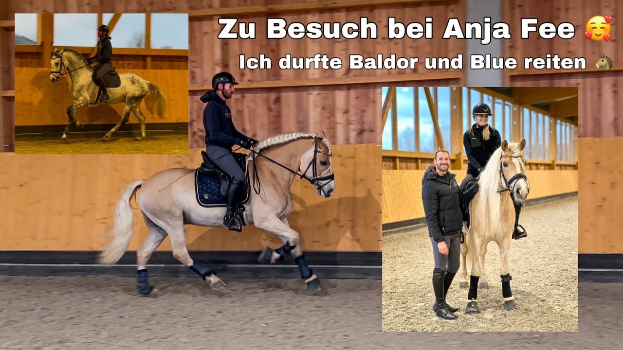 Haflinger reiten bei @anja_fee 😍🐴