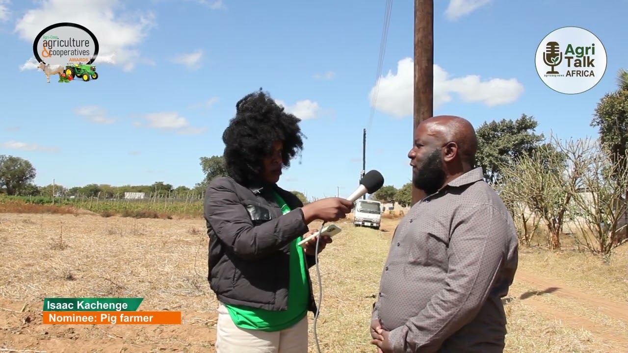 From Pigs to Prosperity: A Chongwe Farmer’s Journey of Inspiration 🐖🌱🐐🐄 #AgritalkAfrica