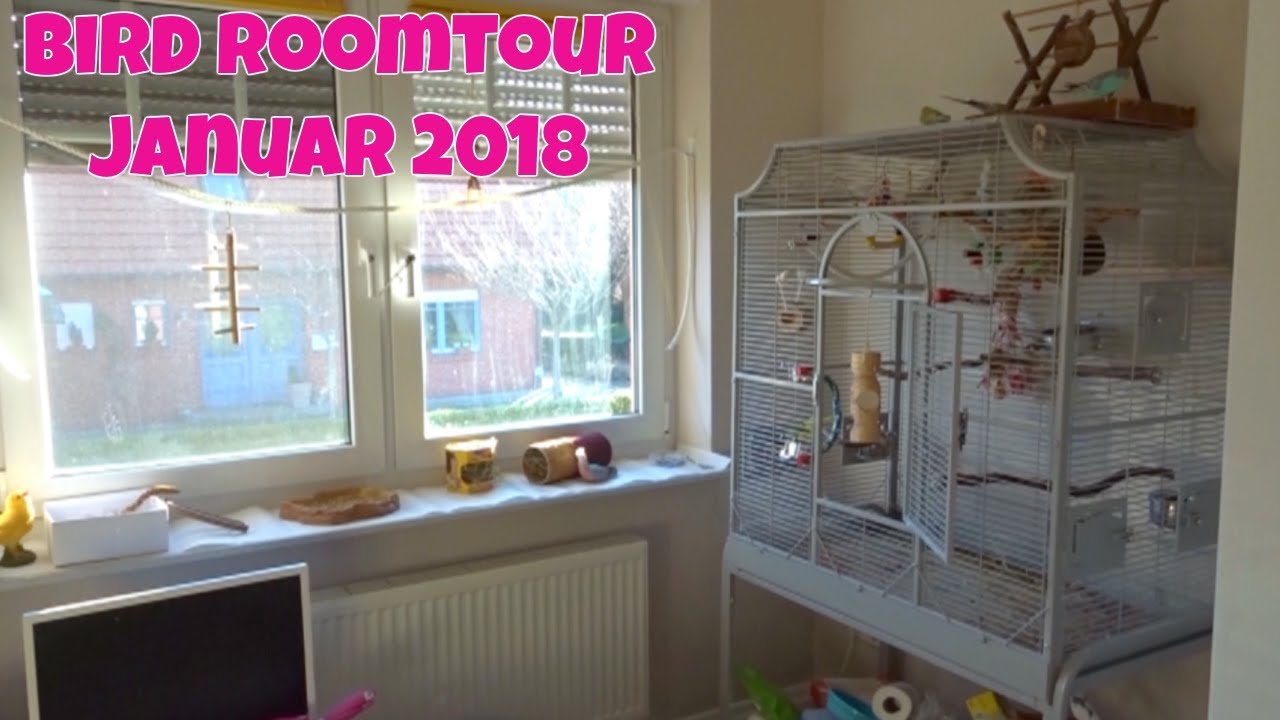 Bird Roomtour! Januar 2018 / Madeira 3