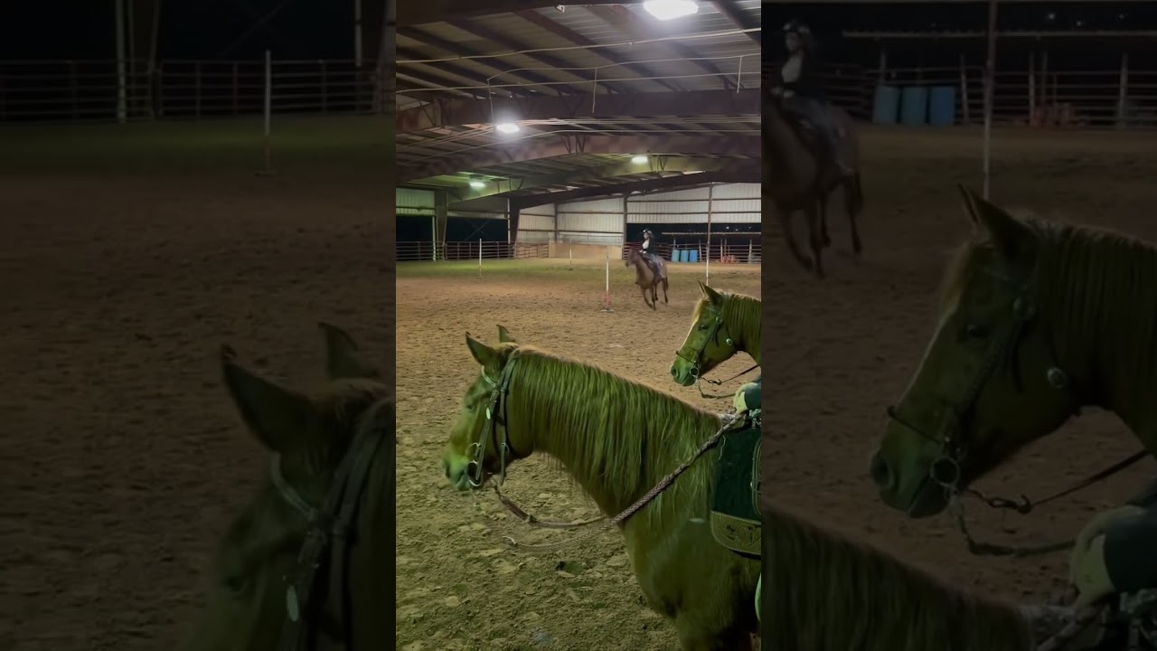 Anyone heard of butterfly pattern?? #woodhaven #rodeo #polebending
