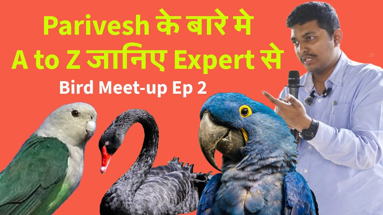 Parivesh Registration for Birds | All Doubts clear by Expert about Parivesh & Breeder Licence