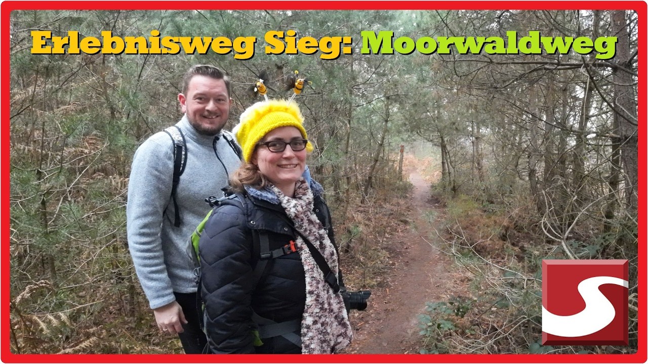 Der Moorwaldweg (Erlebnisweg Sieg #1) [2,7K]