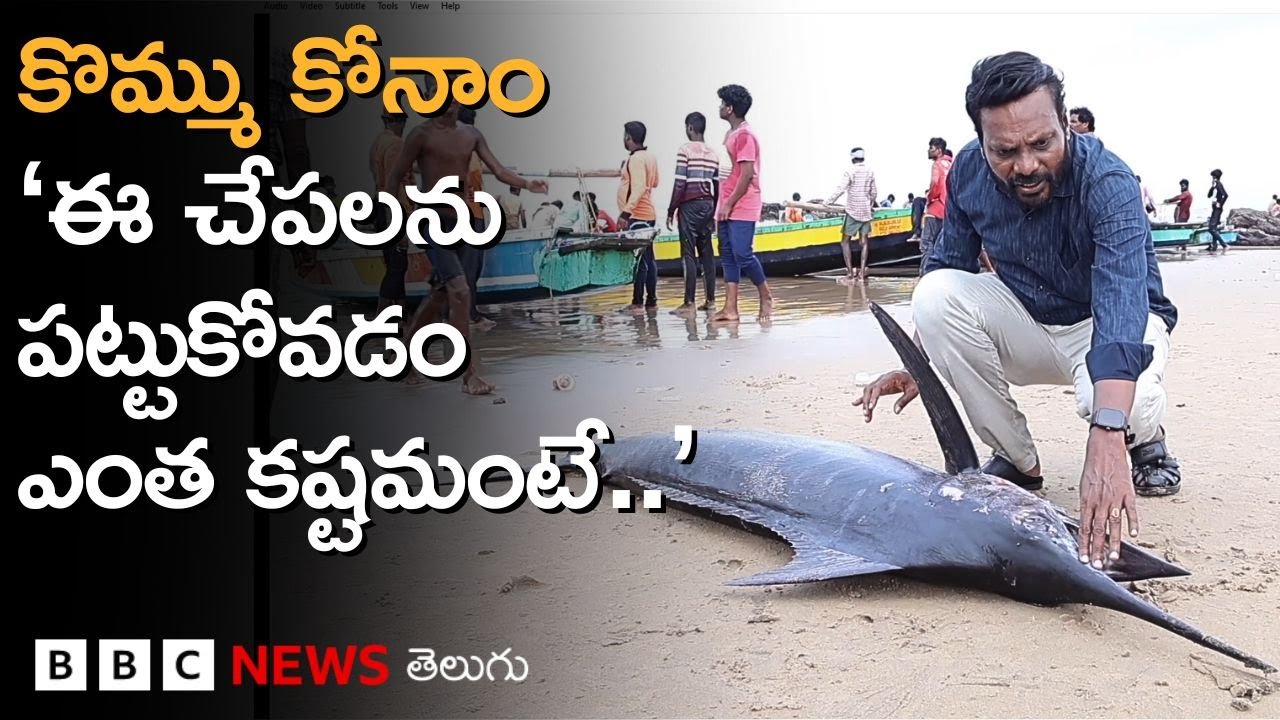 Fishing: కొమ్ము కోనాం చేపల వేటకు మత్స్యకారులు ఎన్ని జాగ్రత్తలు తీసుకుంటారంటే.. | BBC Telugu