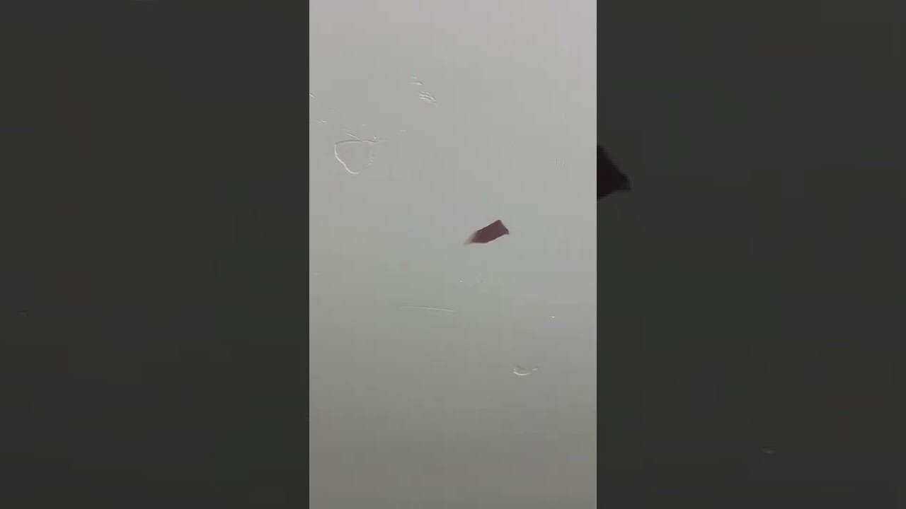 Невидимая утечка с помощью тепловизионной камеры