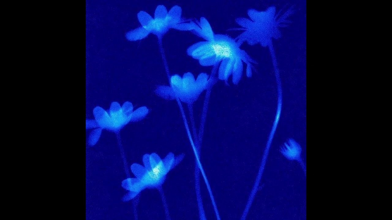[FREE] PinkPantheress + Riovaz Type Beat - Flowers