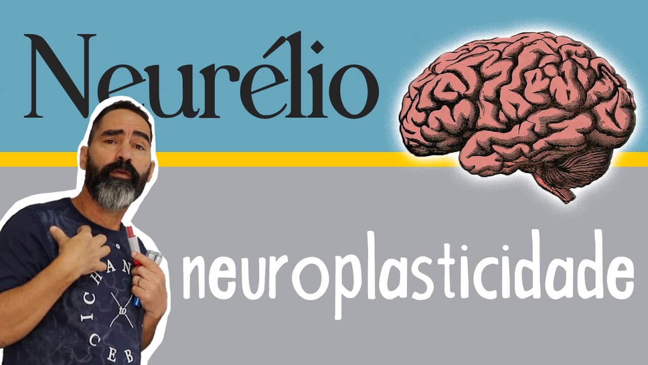 A IMPORT&Acirc;NCIA DE ESTIMULAR O SISTEMA NERVOSO - NEUROPLASTICIDADE?