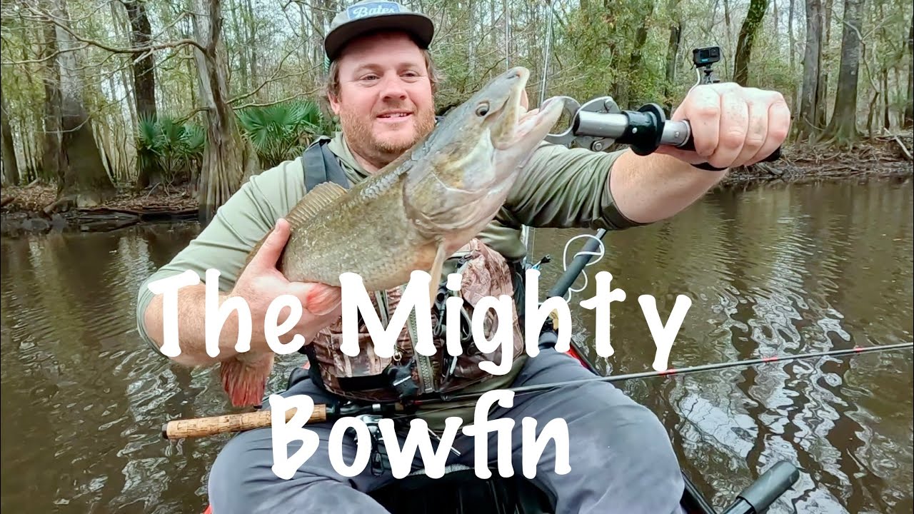 Fishing For The Underappreciated Bowfin In The River Swamp