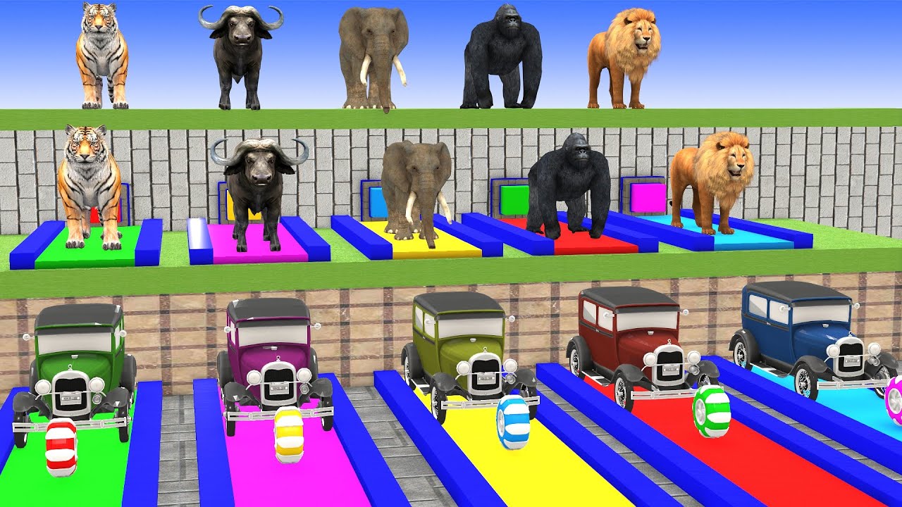Long Slide Game With Cow Elephant Gorilla Hippopotamus Tiger 3d Animal Game Funny 3d Animals