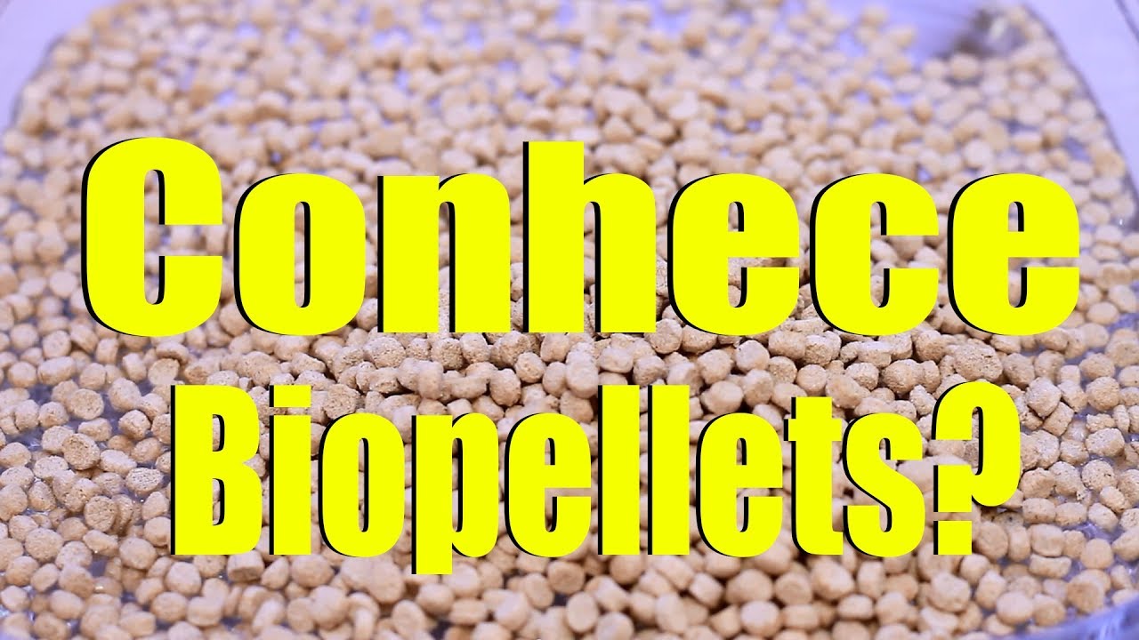 Que tal aprender um pouco sobre Biopellets