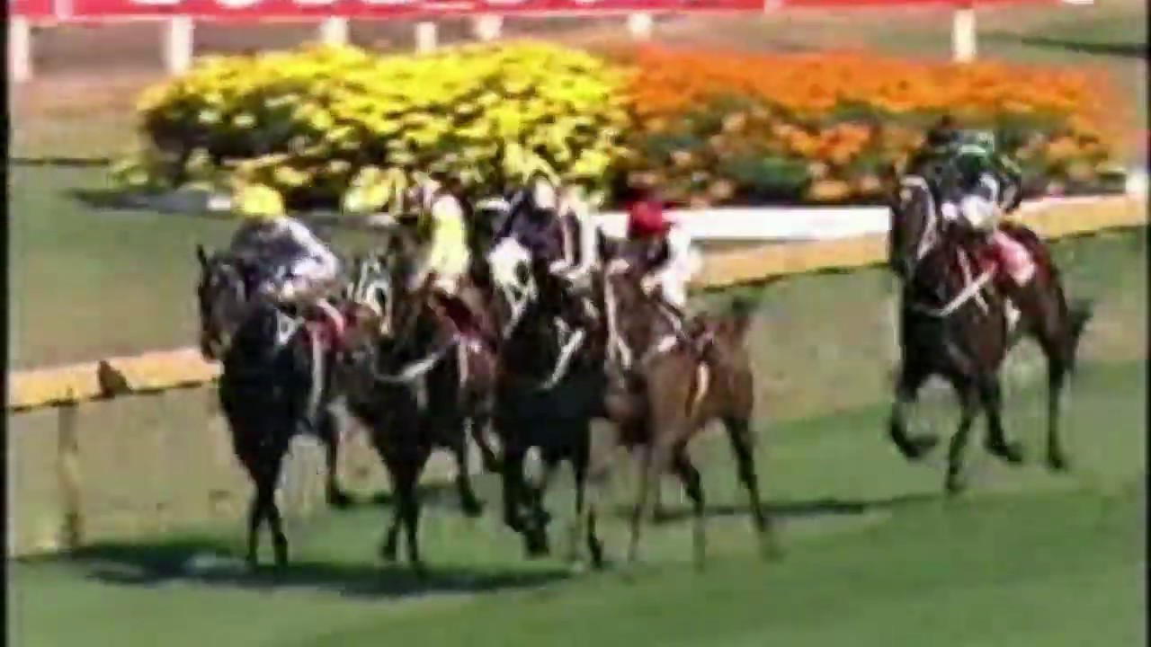 1991 Ranvet Stakes - Super Impose