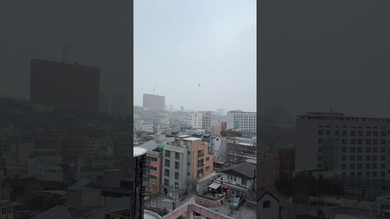 #seoul #눈 #snow 🌨️❄️☃️