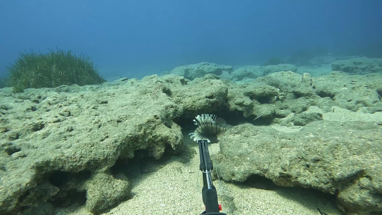 NON-STOP LIONFISH🐟x70🤯|SPEARFISHING SHOTS COMPILATION