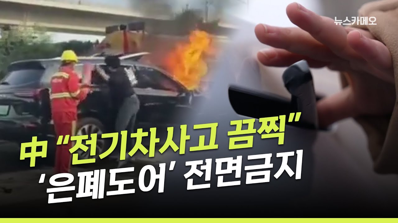[뉴스카메오] 내년 1월부터 모든 차량에 적용...디자인트렌드에도 영향 /머니투데이방송