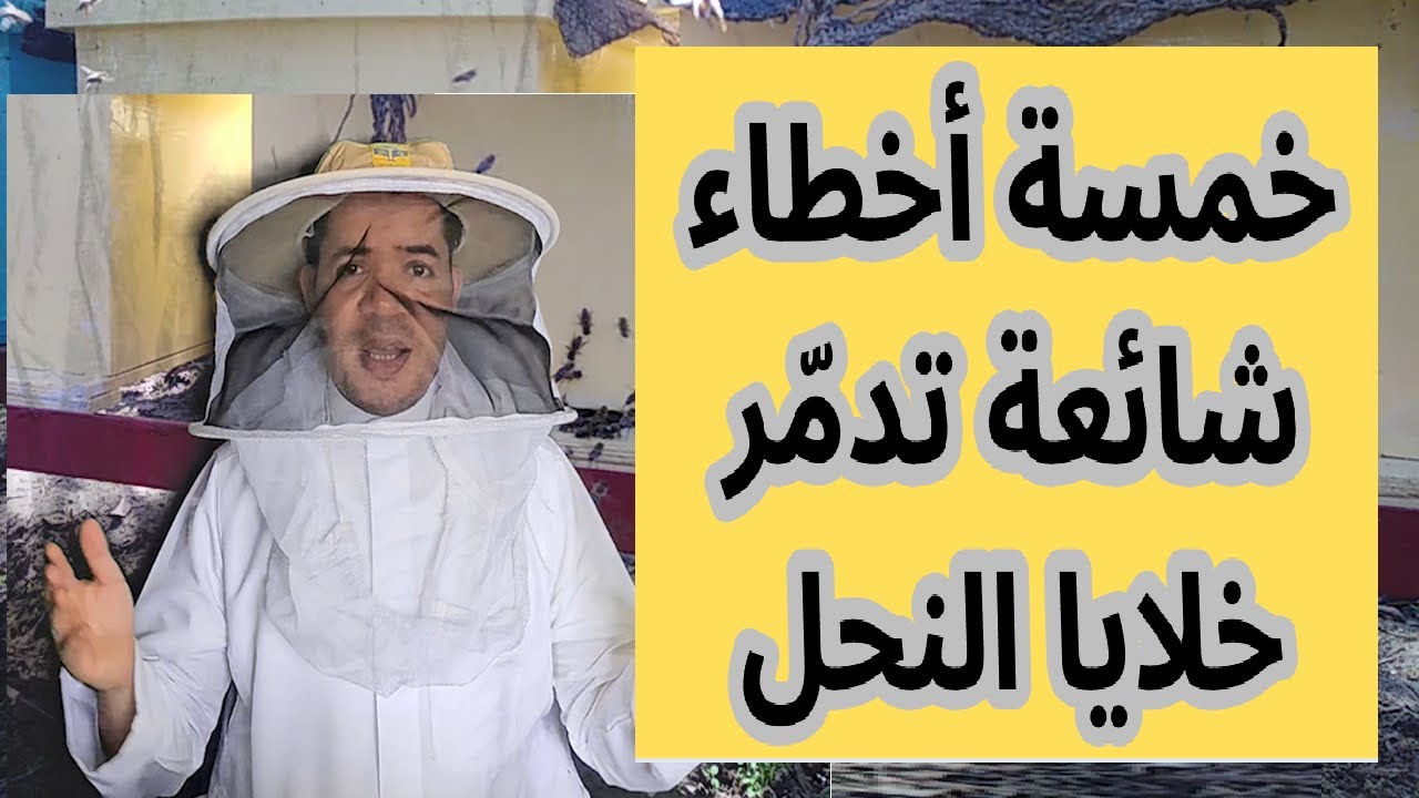 5 أخطاء شائعة تدمر خلايا النحل