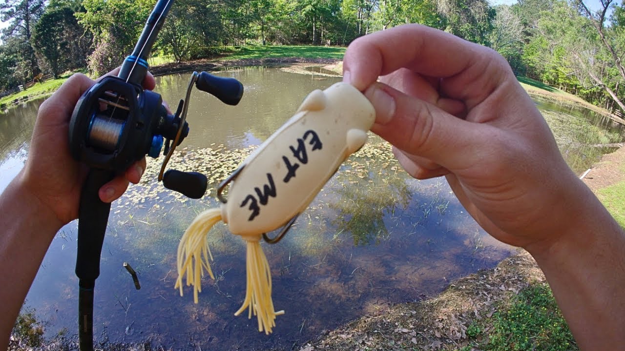 Frog Fishing w/ some Texas Rigs for GIANT Bass in Lake!