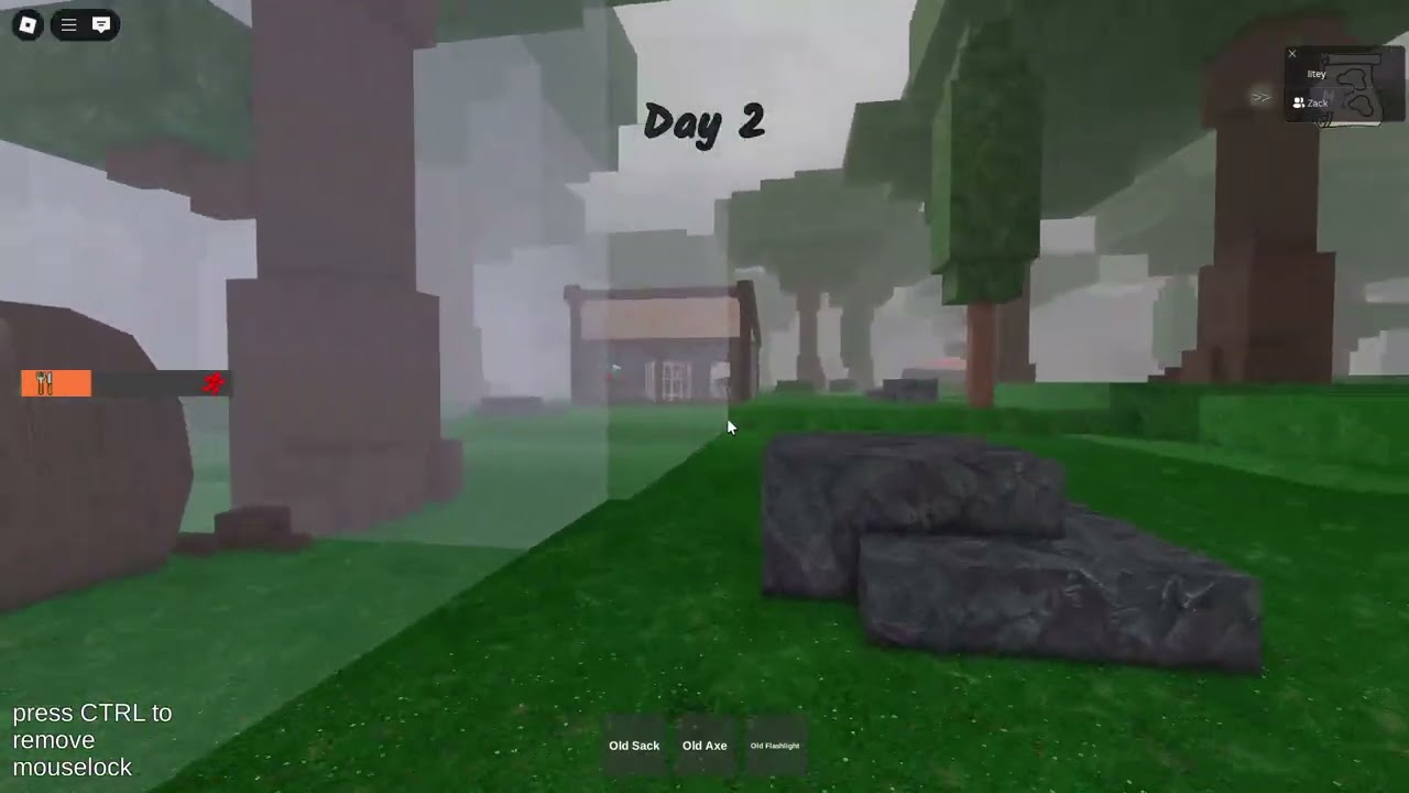 playing 99 days in the forest with my friend