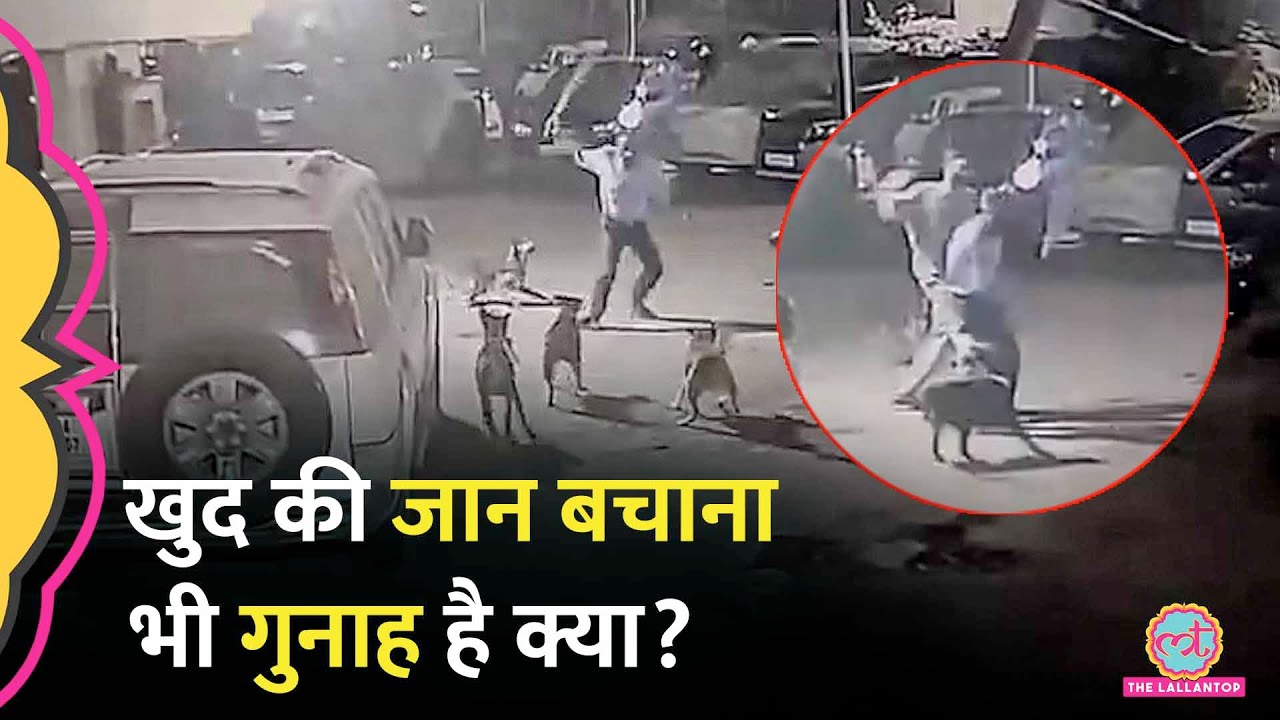 खुद को खतरनाक कुत्तों से बचा रहा था Guard, Dog Lover ने बेरहमी से पीटा, Police का क्या जवाब आया?