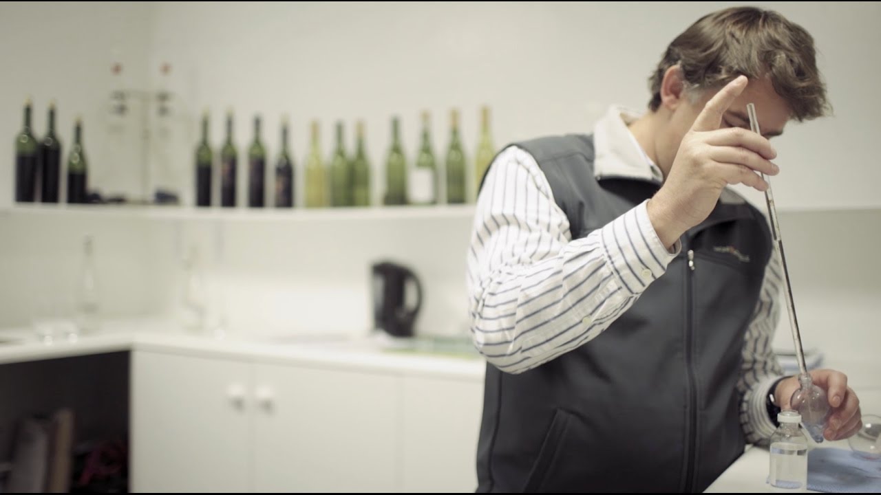 Cool Jobs: Winemaker at Virgin Limited Edition's Mont Rochelle