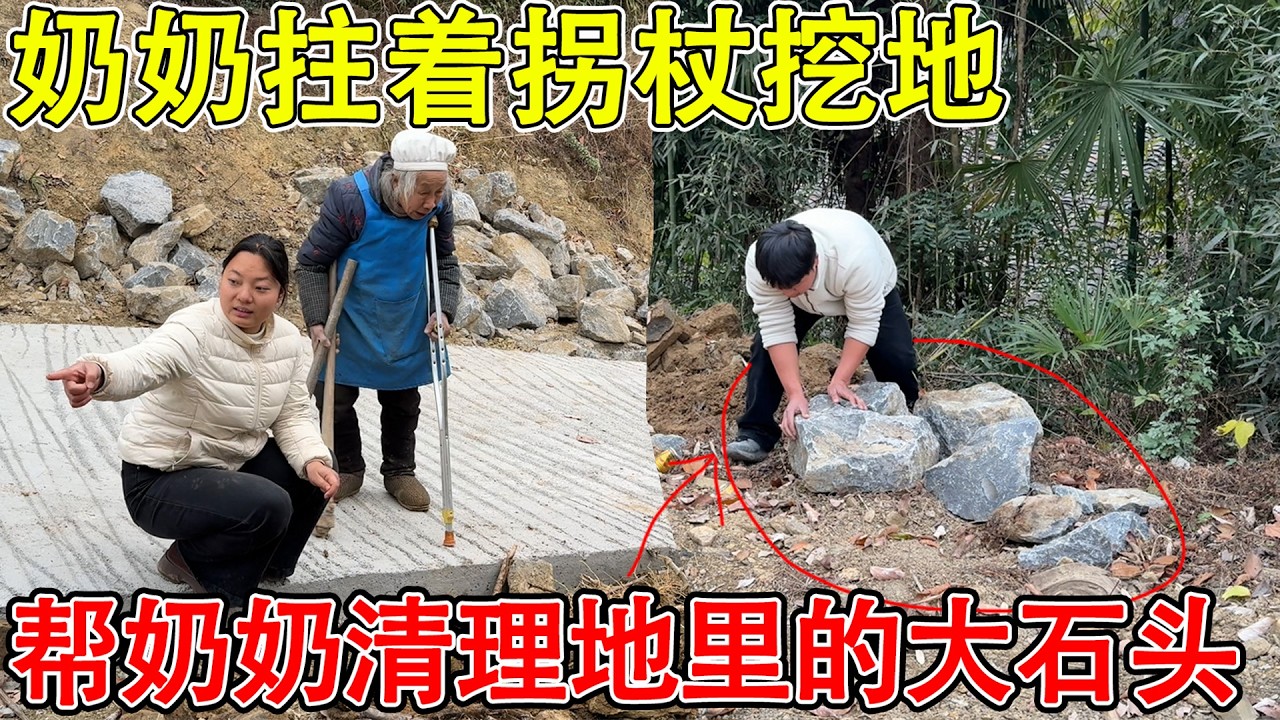 村里的奶奶挖土种地，三天只挖了一小块  拄着拐杖也要挖，帮忙把大石块清理出来  住在农村就要自食其力！