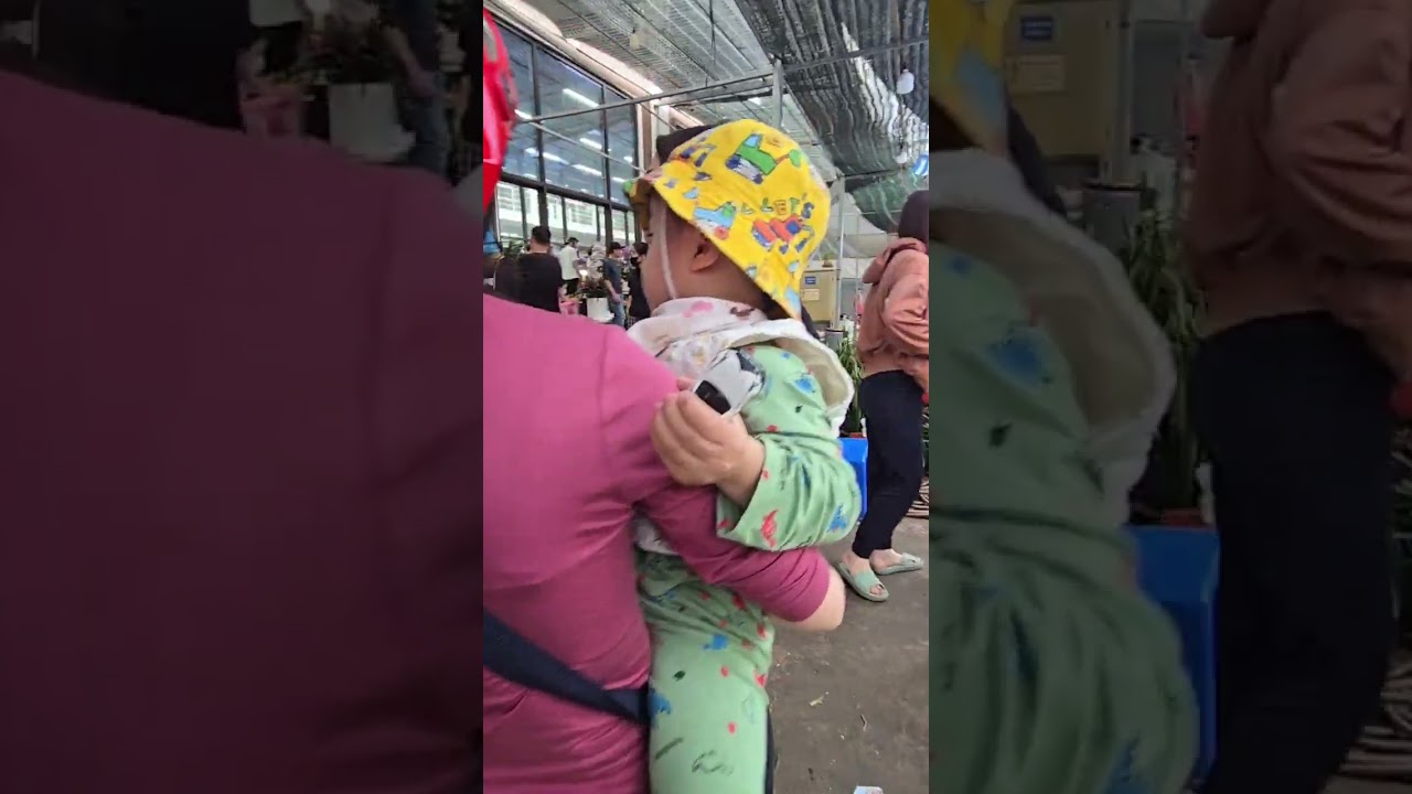 chiều cuối năm Ất Tỵ