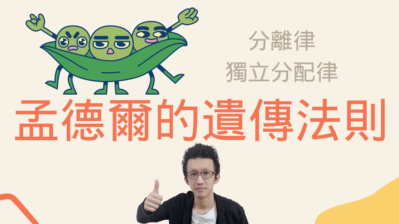【高中生物】2-1-1 孟德爾的遺傳法則 ：分離律 &  獨立分配律 ｜108課綱｜遺傳學｜學測｜自然｜花椰菜老師