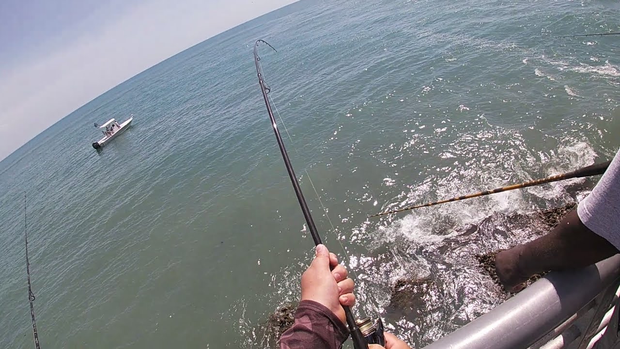 Wins and Losses (Sebastian Inlet)