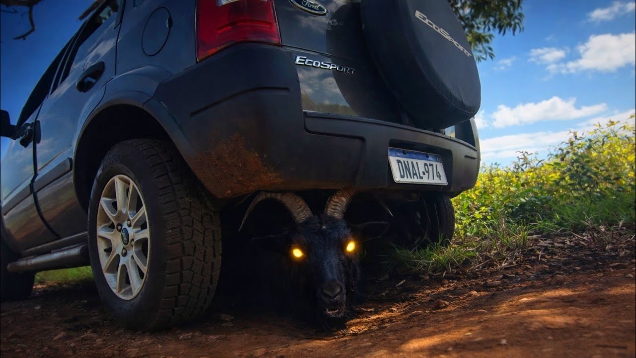 MEU DEUS BODE SE ESCONDE EM BAIXO DO CARRO PARA ME PEGAR *Oque eu faço 🚨