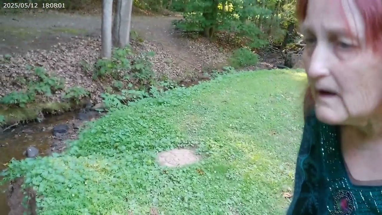 Our Return to the Abandoned Museum and Cabins (Part 1) (2025).