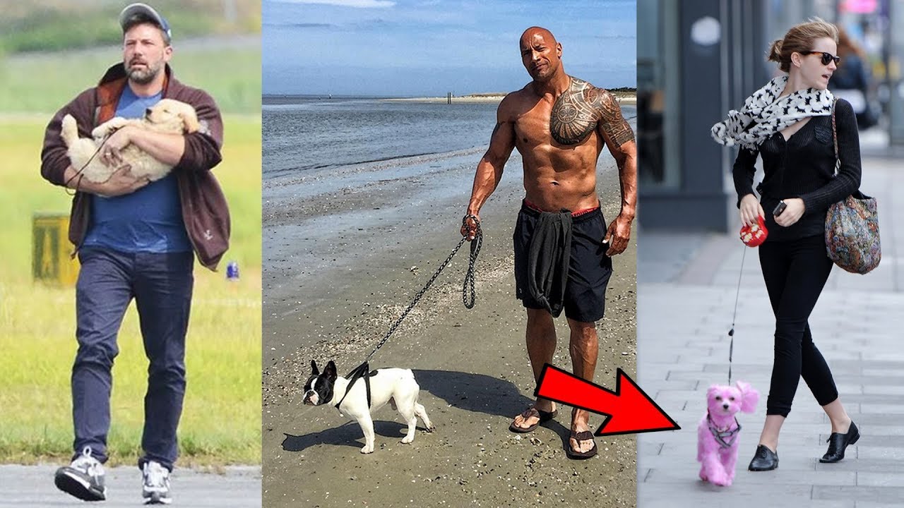 20 Famous Actors And Their Dogs