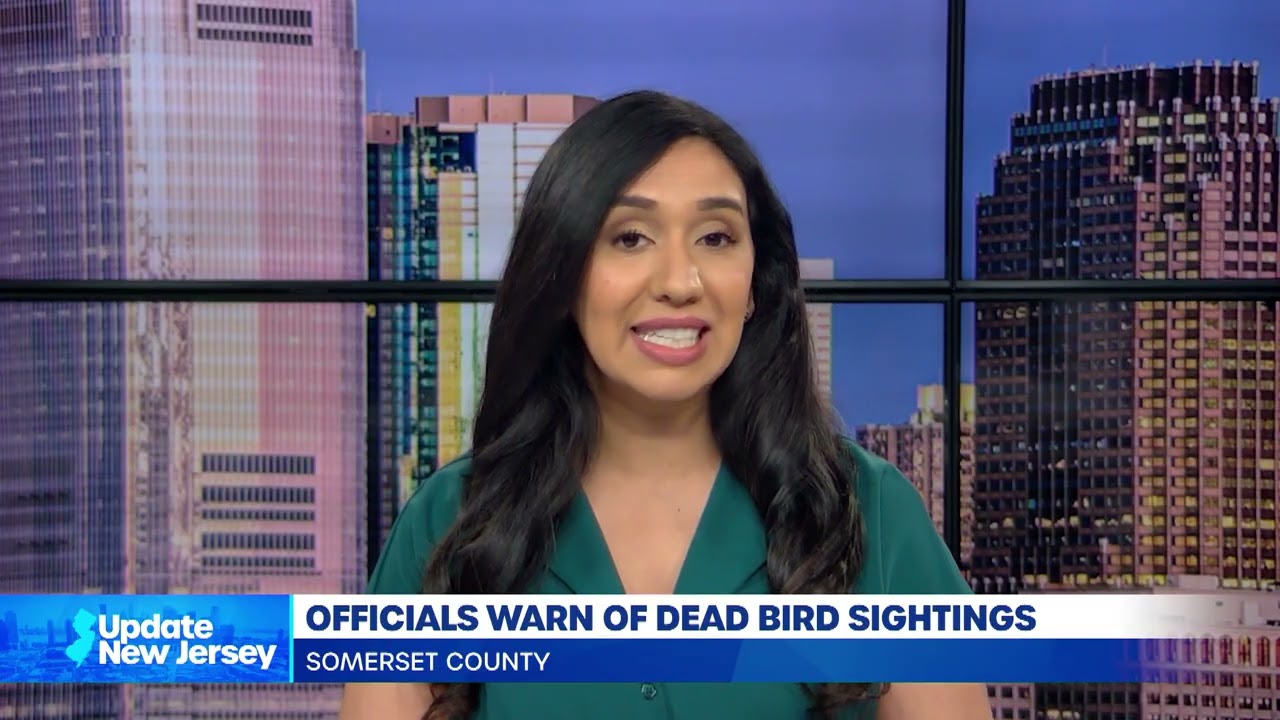 Update #8 for February 19, 2026 from UpdateNewJersey.com