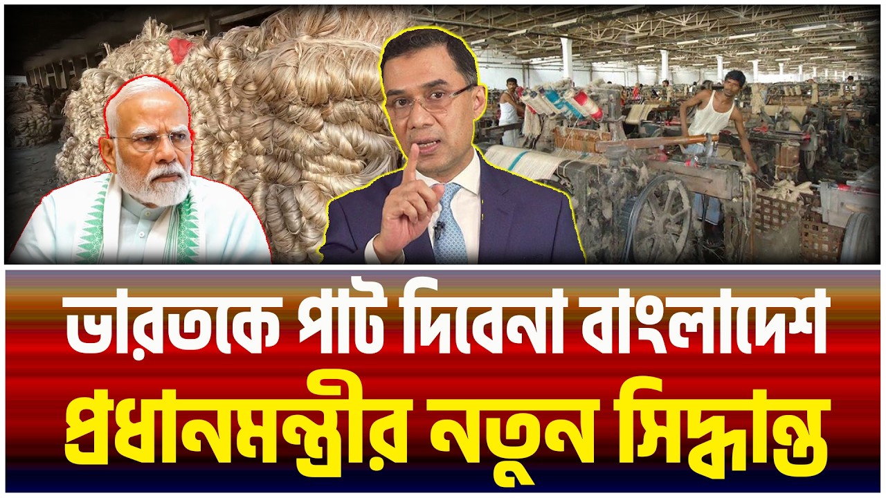 ভারতকে পাট দিবে না বাংলাদেশ !  এবার নিজেদের জুট মিল চালু করছে সরকার! ।The Bangladesh Observers।