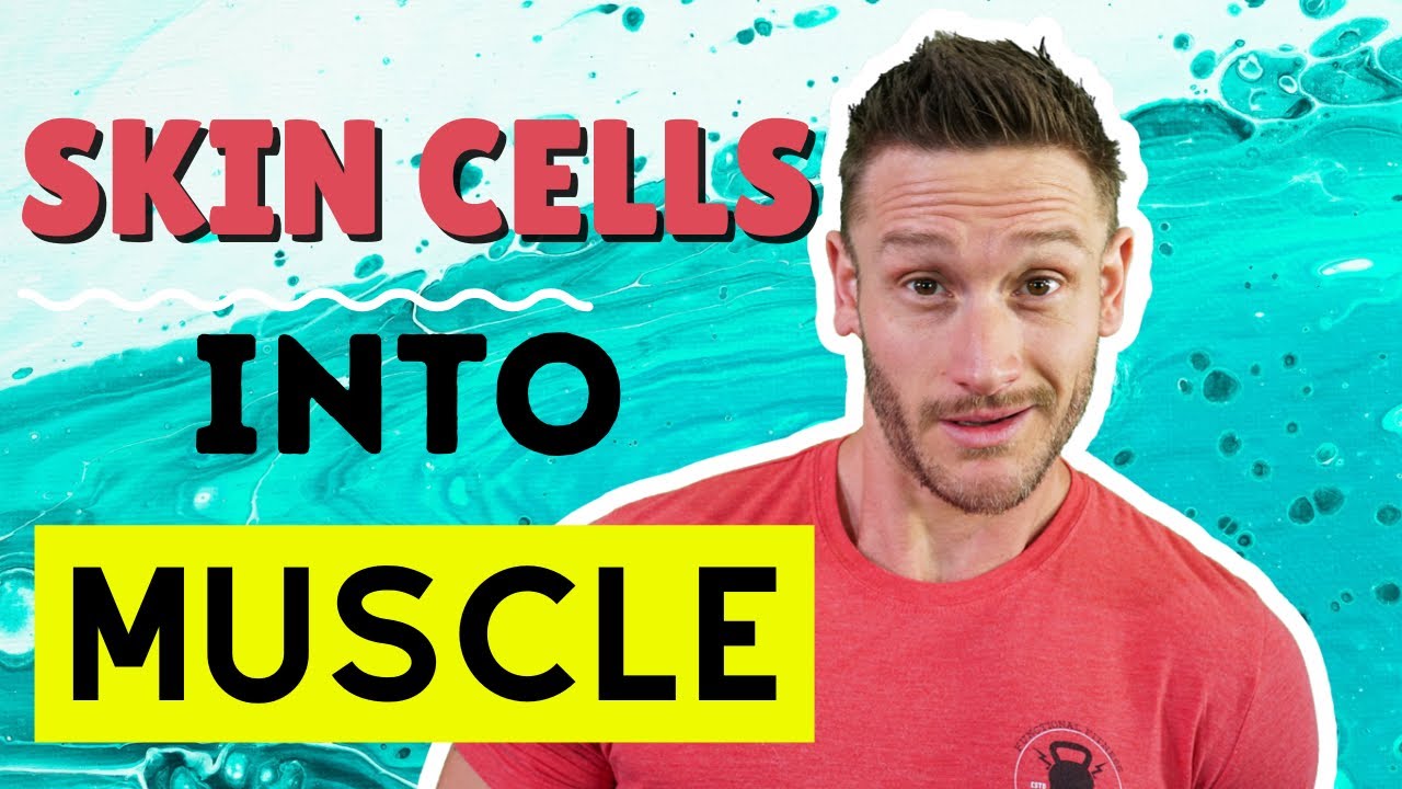 Do You Build Muscle DURING a Fast? Protein Synthesis & Fasting