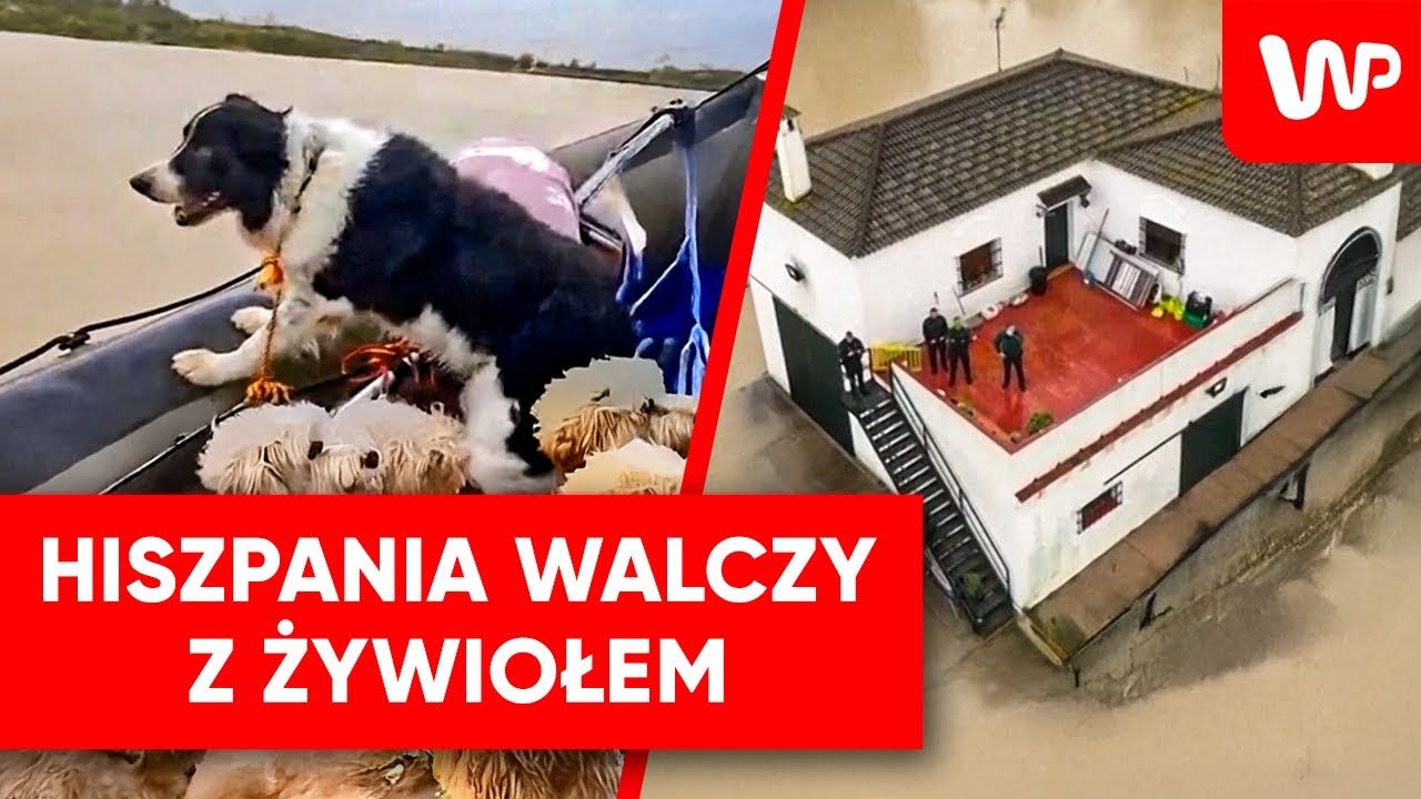 Hiszpania pod wodą. Chwytające za serce nagrania z Andaluzji